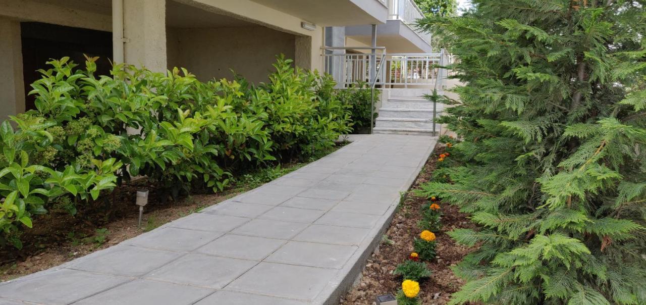 Chelona Apartments Nea Plagia Exterior photo